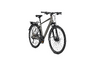 Raleigh RUSHHOUR 7.0 60 steelgrey glossy