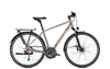 Raleigh RUSHHOUR 6.0 50 moonstonegrey glossy