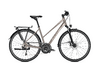 Raleigh RUSHHOUR 6.0 50 moonstonegrey glossy